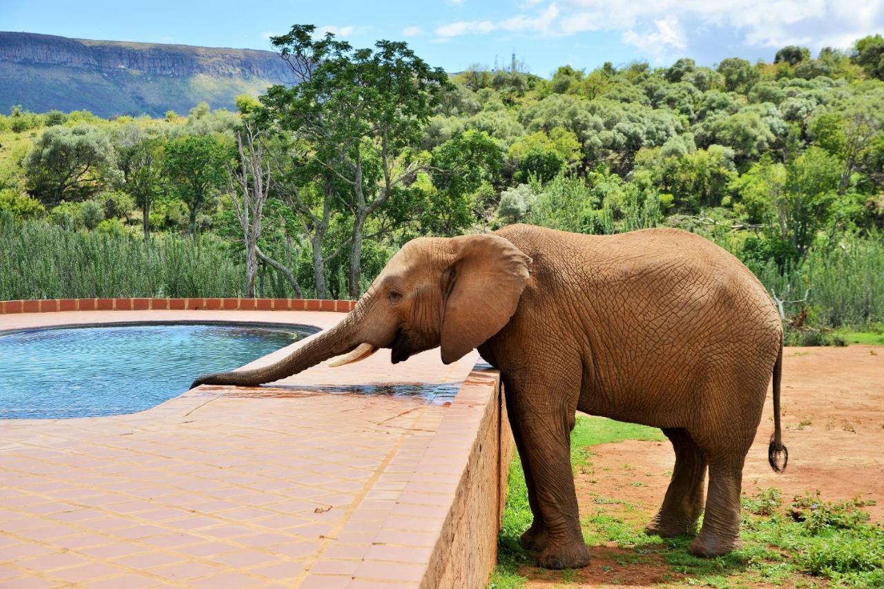 African Hills Safari Lodge & Spa Magaliesburg Luaran gambar