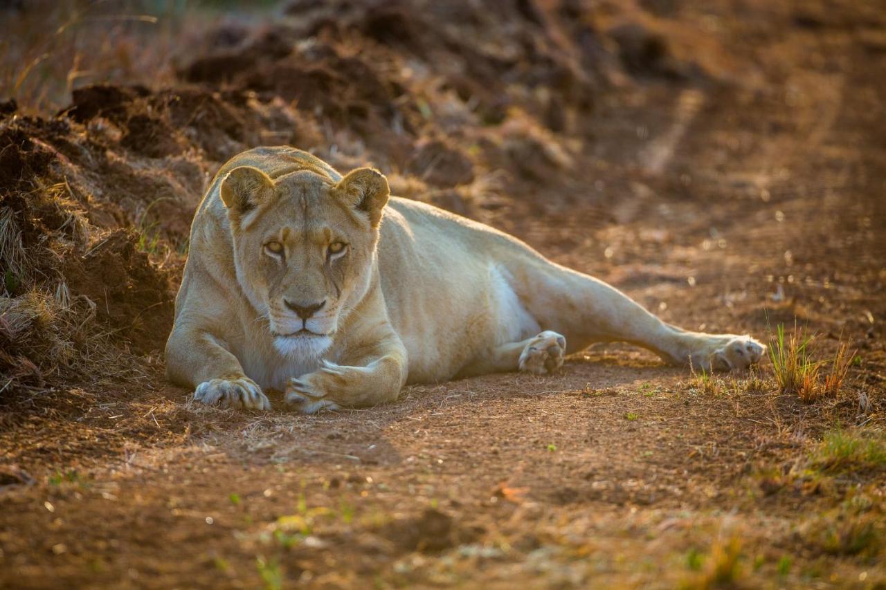 African Hills Safari Lodge & Spa Magaliesburg Luaran gambar