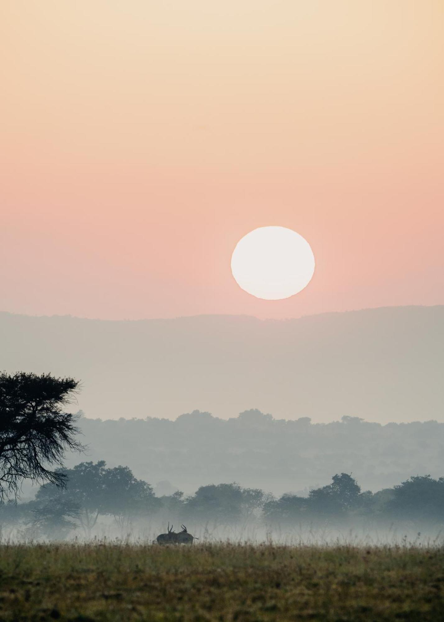 African Hills Safari Lodge & Spa Magaliesburg Luaran gambar