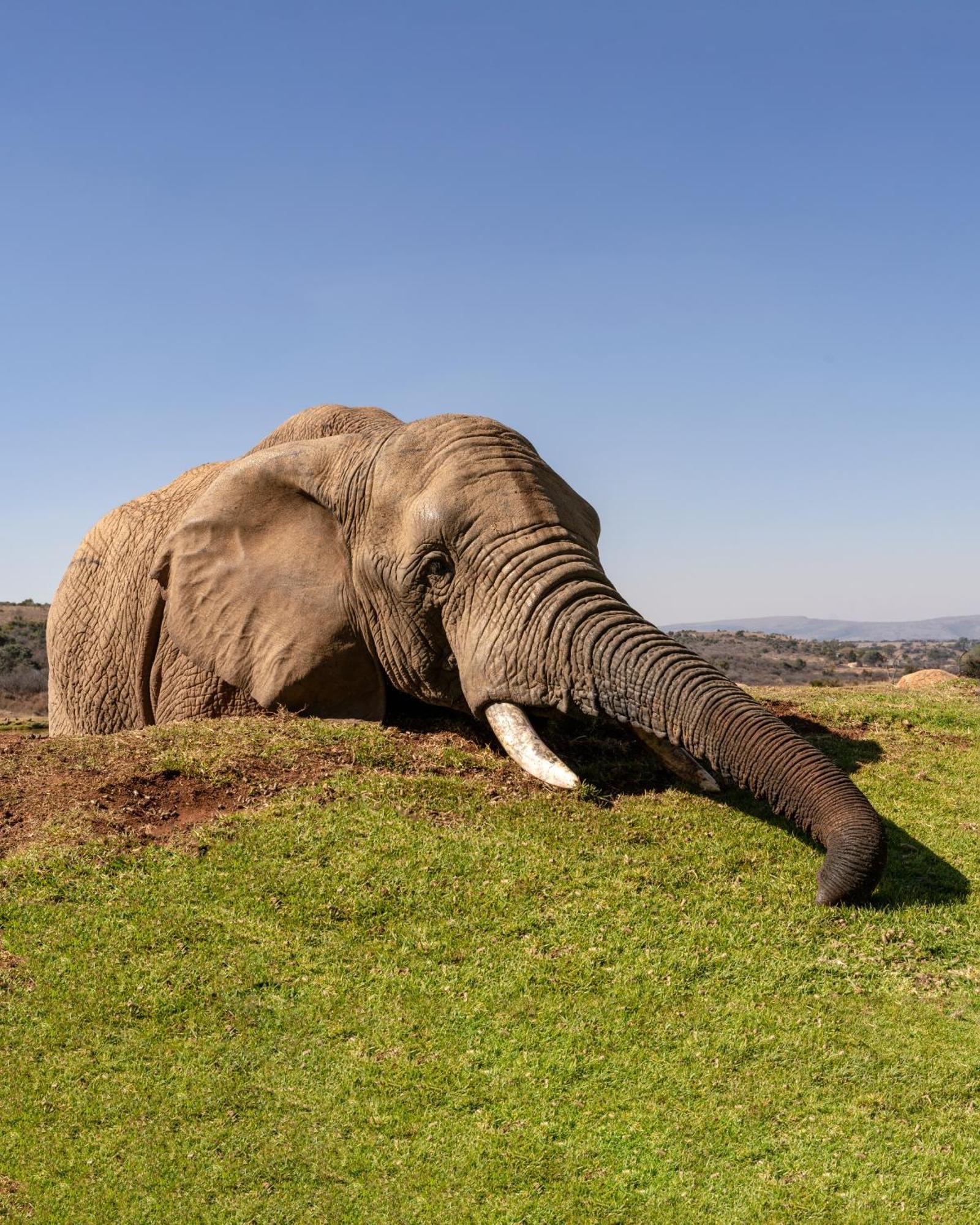 African Hills Safari Lodge & Spa Magaliesburg Luaran gambar